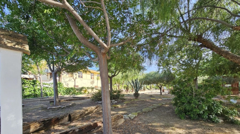 Murcia - Molina de Segura - 2500m2