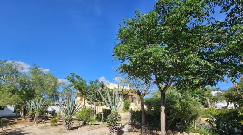 Murcia - Molina de Segura - 2500m2