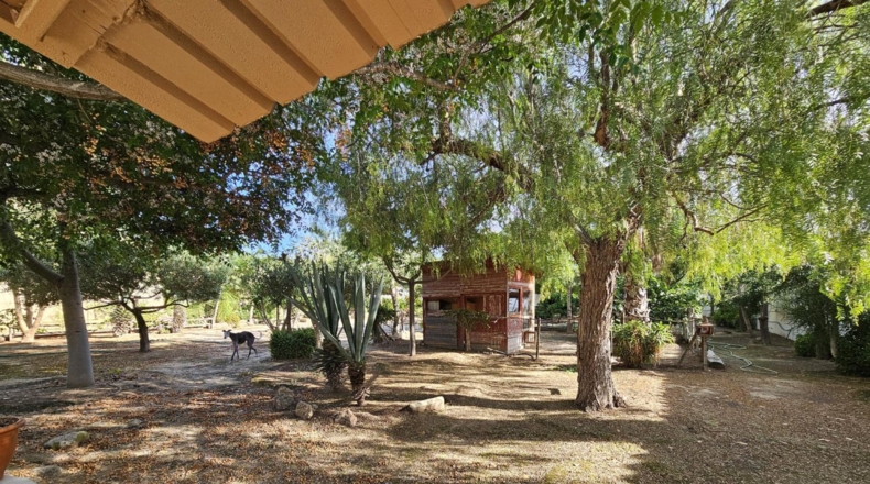 Murcia - Molina de Segura - 2500m2