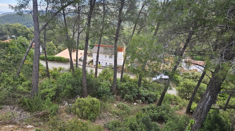 Barcelona - Corbera de Llobregat - 833m2