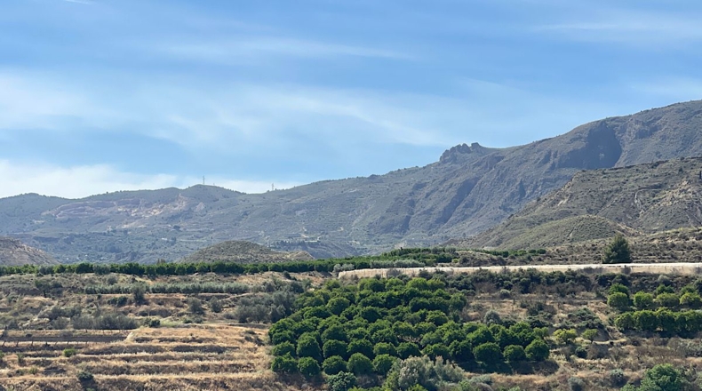Almería - Bentarique - 11303m2