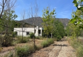 Casa de camp amb terreny en venda a la España, Bentarique, ref.: TR409004 foto