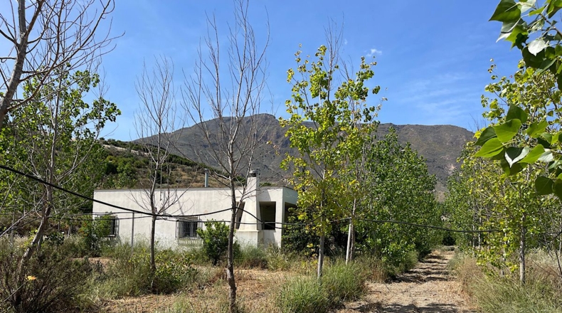 Almería - Bentarique - 11303m2