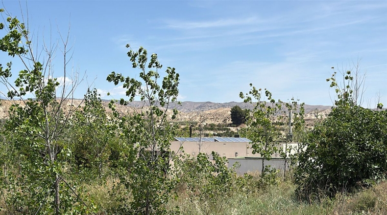 Almería - Bentarique - 11303m2