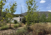 Casa de camp amb terreny en venda a la España, Bentarique, ref.: TR409004 foto