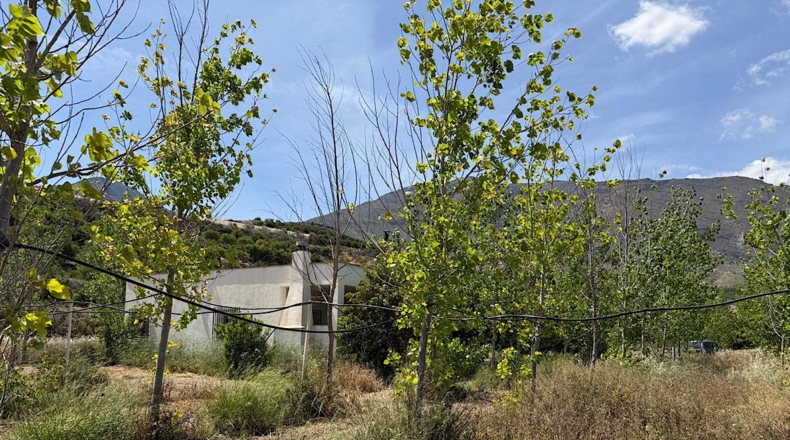 Almería - Bentarique - 11303m2