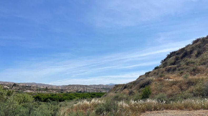 Almería - Bentarique - 11303m2
