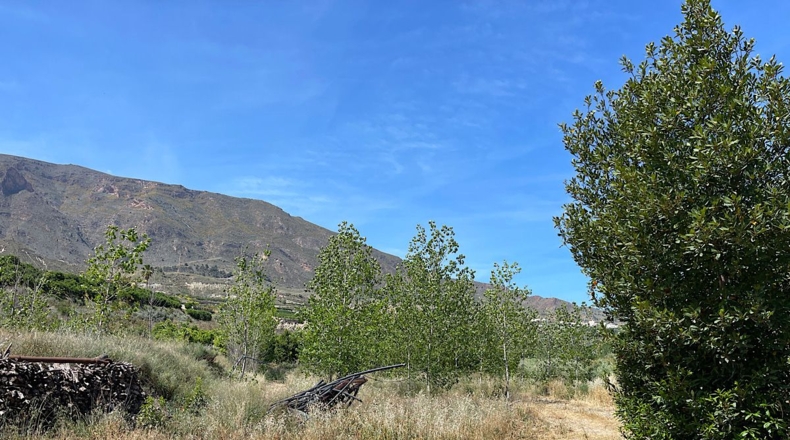 Almería - Bentarique - 11303m2