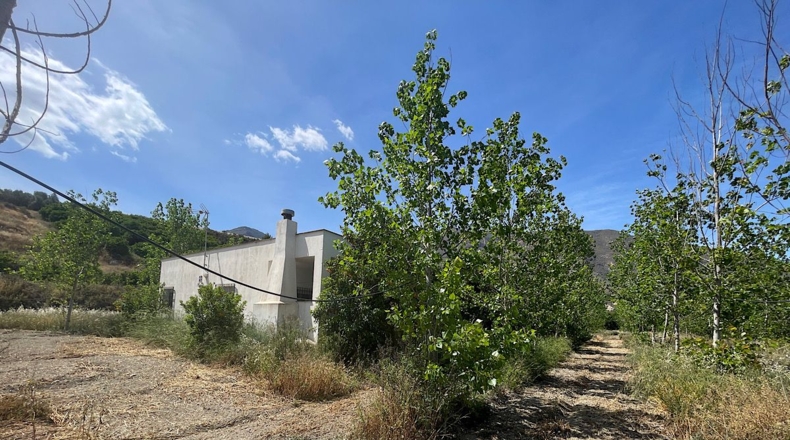 Almería - Bentarique - 11303m2