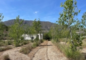 Casa de camp amb terreny en venda a la España, Bentarique, ref.: TR409004 foto