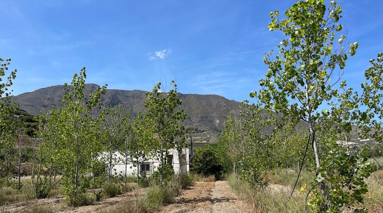 Almería - Bentarique - 11303m2