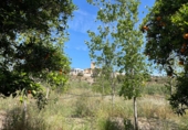Casa de camp amb terreny en venda a la España, Bentarique, ref.: TR409004 foto