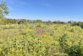 Albaida 16290&nbsp;m²