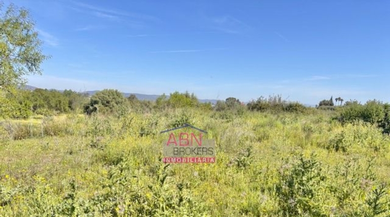 Валенсия - Albaida - 16290m2
