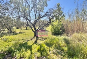 Albaida 16290&nbsp;m²