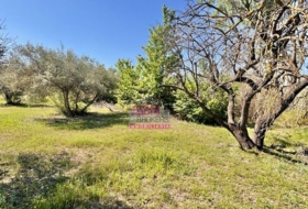 Albaida 16290&nbsp;m²