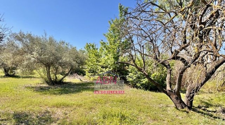 Валенсия - Albaida - 16290m2
