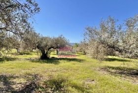 Albaida 16290&nbsp;m²