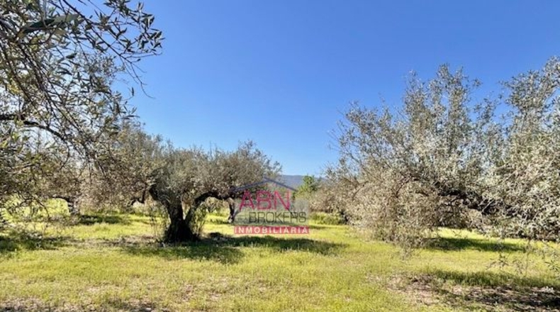Валенсия - Albaida - 16290m2