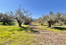 Albaida 16290&nbsp;m²