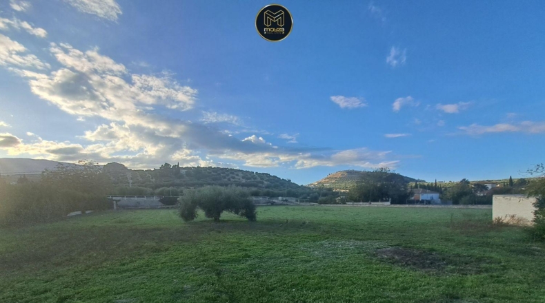 Jaén - Хаэн - 1200m2