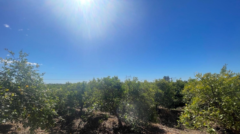 Castellón - Кастельон-де-ла-Плана - 15465m2