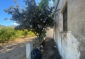 Finca rústica en venda a Castelló de la Plana ref.: TR409045 foto