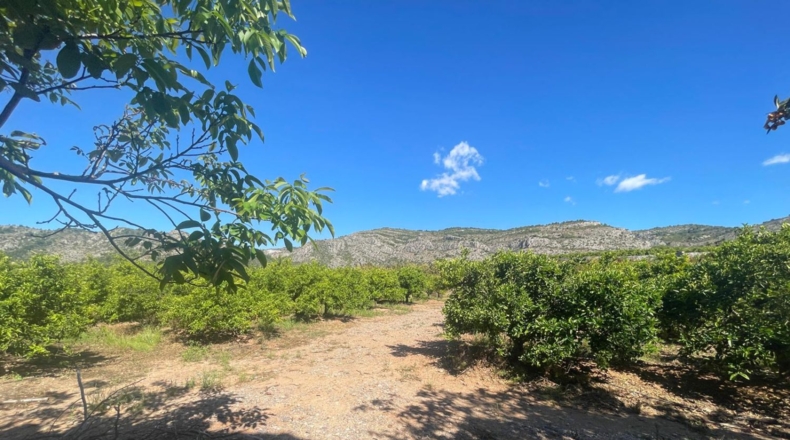 Castellón - Кастельон-де-ла-Плана - 15465m2