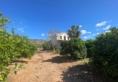 Finca rústica en venda a Castelló de la Plana ref.: TR409045 foto