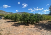 Finca rústica en venda a Castelló de la Plana ref.: TR409045 foto