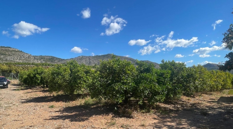 Castellón - Кастельон-де-ла-Плана - 15465m2