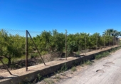 Finca rústica en venda a Castelló de la Plana ref.: TR409045 foto