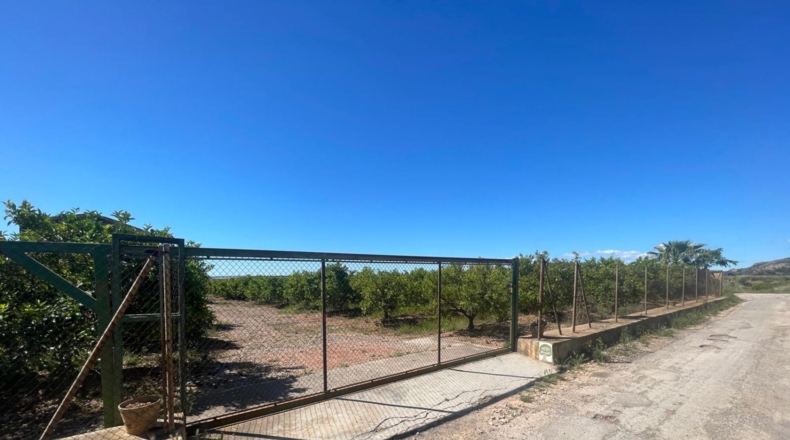 Castellón - Кастельон-де-ла-Плана - 15465m2