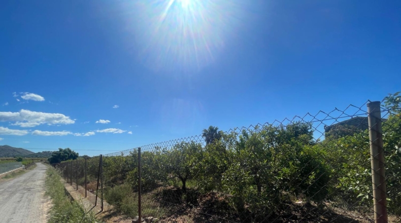 Castellón - Кастельон-де-ла-Плана - 15465m2