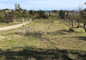 Vil·la amb terreny en venda a Estepona ref.: TR382050 foto