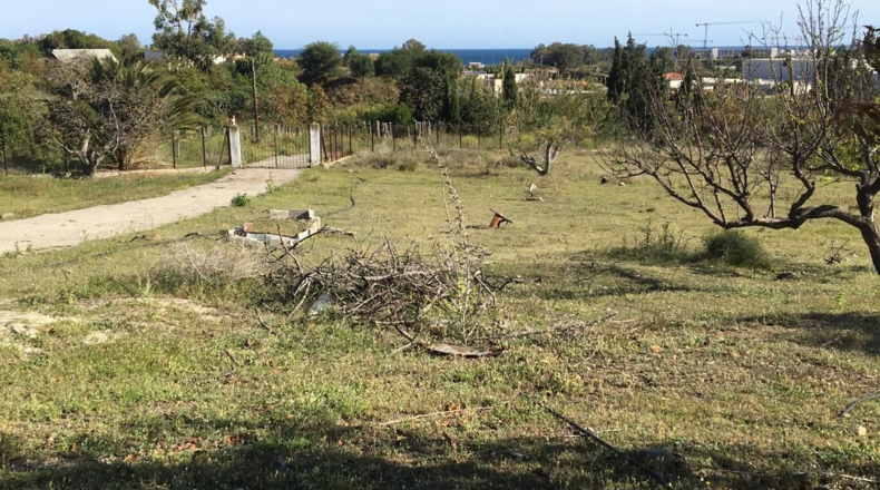 Malaga - Estepona - 29806m2