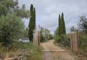 Rural estate for sale in l'Ampolla ref: TR409052 photo