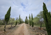 Rural estate for sale in l'Ampolla ref: TR409052 photo