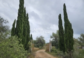 Rural estate for sale in l'Ampolla ref: TR409052 photo