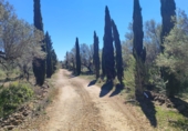 Rural estate for sale in l'Ampolla ref: TR409052 photo