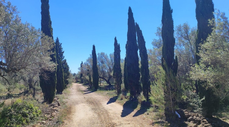 Tarragona - l'Ampolla - 7837m2