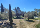 Rural estate for sale in l'Ampolla ref: TR409052 photo