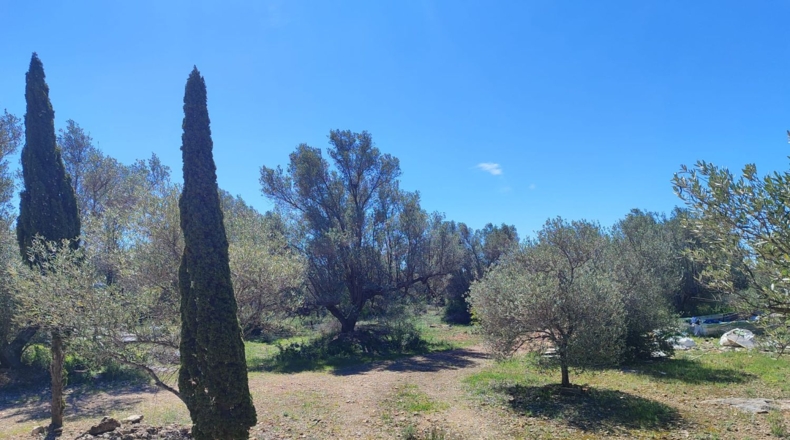 Tarragona - l'Ampolla - 7837m2