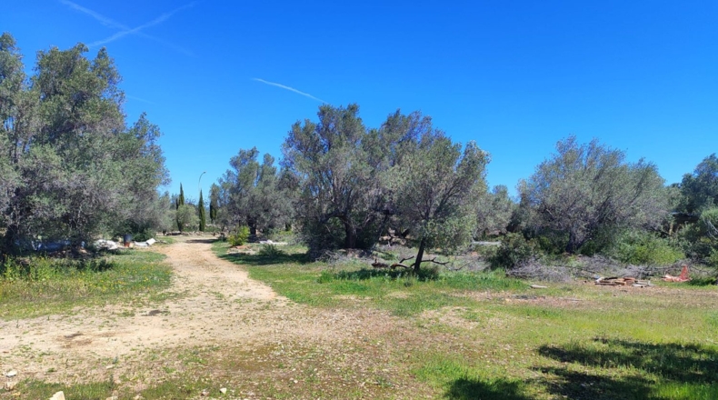 Tarragona - l'Ampolla - 7837m2