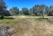 Rural estate for sale in l'Ampolla ref: TR409052 photo