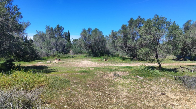 Tarragona - l'Ampolla - 7837m2