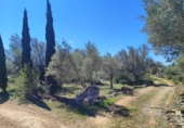Rural estate for sale in l'Ampolla ref: TR409052 photo