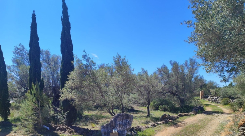 Tarragona - l'Ampolla - 7837m2