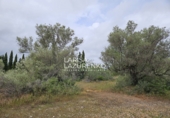 Rural estate for sale in l'Ampolla ref: TR409052 photo