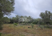 Rural estate for sale in l'Ampolla ref: TR409052 photo